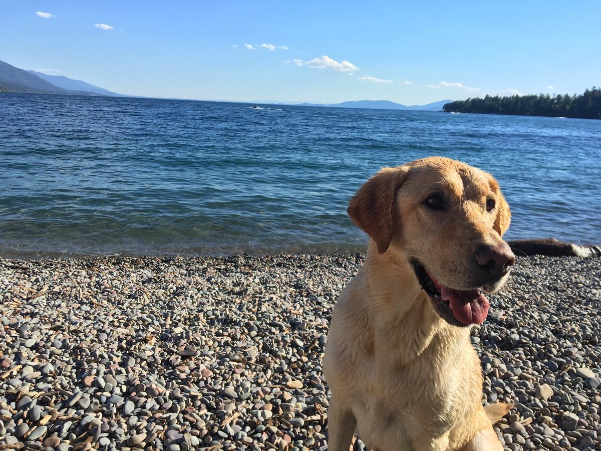 Flathead Lake Resort Woods Bay Εξωτερικό φωτογραφία